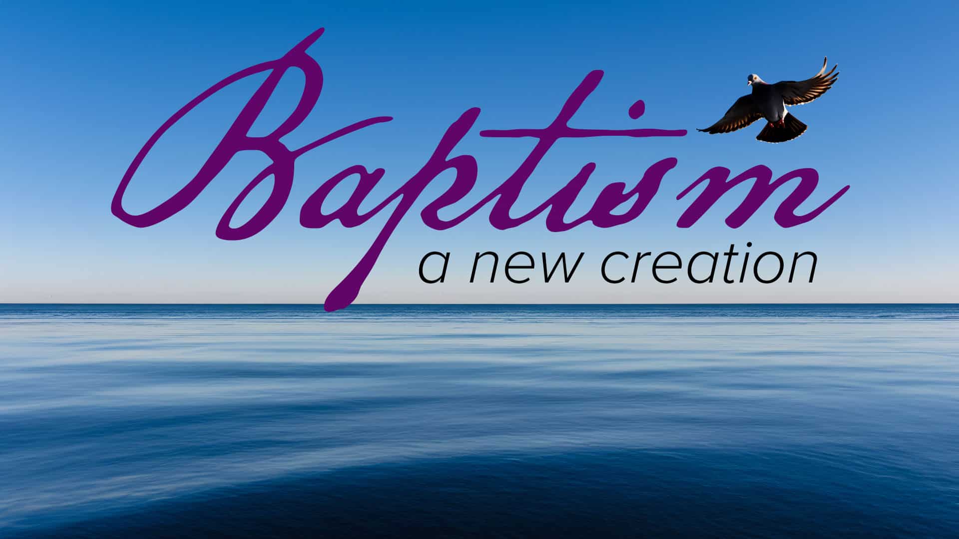 Baptism A New Creation Crossings Community Church baptism-a-new-creation-crossings-community-church